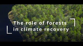 Forests and Climate Change: The Role of Forests in Climate Recovery