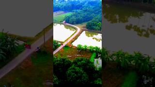 Serene Village Roads #DroneFootage #nature #travel #villagelife #scenicviews #dronevideo #shorts