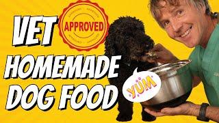 Vet Approved Homemade Dog Food: Good for Digestive Issues