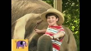 Noggin’s Critter Corner: Elephants & Woolly Mammoths (Toddler Tune Town’s Noah’s Ark)