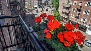 Hotel Larende, Amsterdam, Netherlands