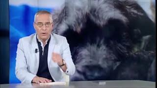 TELEMADRID | Fundación Animal Rescue