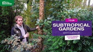 UK TROPICAL GARDEN tour | March in Abbotsbury Subtropical Gardens