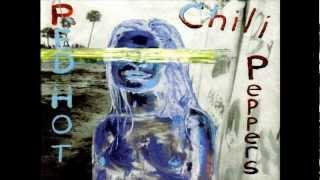 Red Hot Chili Peppers - Universally Speaking