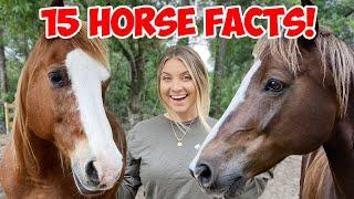 15 Interesting Horse Facts You Probably Never Knew! *TESTED*