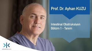 İntestinal Obstrüksiyon Bölüm 1 - Tanım