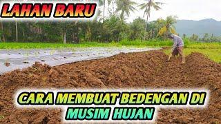 CARA MEMBUAT BEDENGAN DI MUSIM HUJAN