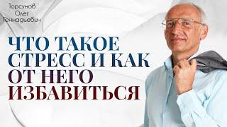 Торсунов О.Г. Что такое СТРЕСС и как от него избавиться  2016