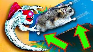  EVIL Hamster Maze with Traps [OBSTACLE COURSE]