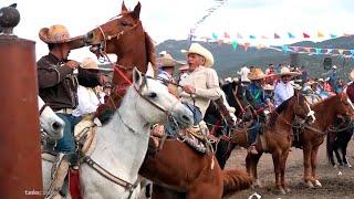 Caballos RAJADOS - Diablos FUERA