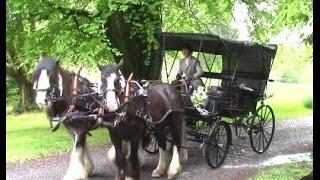 Horse-Drawn Wedding Carriage Anyone?!