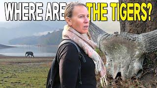 WHERE are the TIGERS in PERIYAR TIGER RESERVE? | Foreigners First Time in KERALA, INDIA 