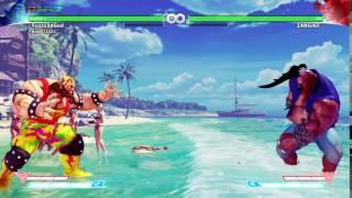 Beach Stage Birdie Tech