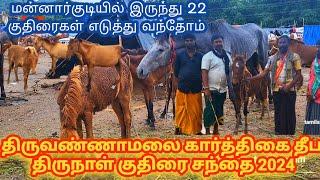 திருவண்ணாமலை தீபக் குதிரைச்சந்தை 2024 /மன்னார்குடியில்  22 குட்டிகள் எடுத்து வந்தேன்  #horsemarket