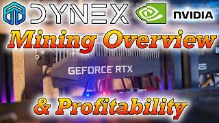 Dynex Mining - Config, and Profits