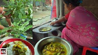 Bangladeshi village cooking | Village life | Village Lifestyle | Eggplant cooking |Vegetable Recipes