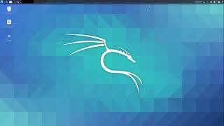 How to have a Graphical User Interface on Kali Linux on Windows 10 (WSL2)