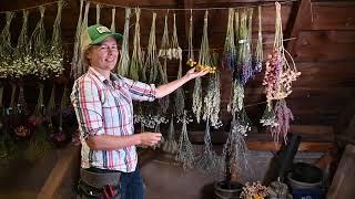 Dried Flowers | from Johnny's Selected Seeds