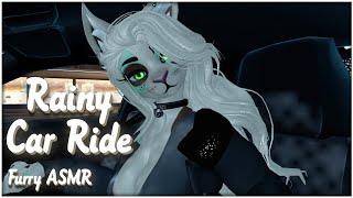 Furry ASMR | Driving You Home in the Rain After Our Date 