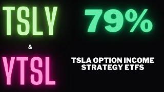 YieldMax TSLA Option Income Strategy ETF | Tesla (TSLA) Yield Shares Purpose (YTSL) ETF | Update