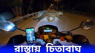 কাশ্মীরে চিতা বাঘের সাথে দেখা || Ep-16 || Kolkata To Ladakh || Ladakh Bike Ride ||Ladakh Tour Guide