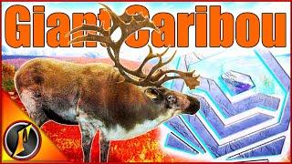 GIANT Max Weight Diamond Caribou on a Yukon Valley Multiplayer Hunt!