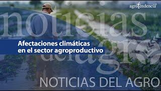  Afectaciones climáticas en el sector agroproductivo - Noticias del Agro