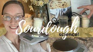 Make a Sourdough Starter in only 3 DAYS! Day 3 + Sourdough Science Experiment