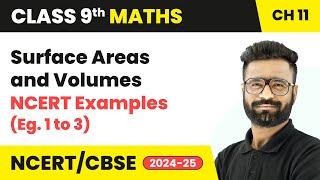 Surface Areas and Volumes - NCERT Examples (Eg. 1 to 3) | Class 9 Maths Chapter 11 | CBSE 2024