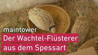 Der Wachtel-Flüsterer –  14Jähriger züchtet Tiere im Spessart | maintower