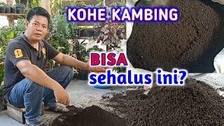 Cara Mudah Mengolah Pupuk Kandang Dari Kohe Kambing