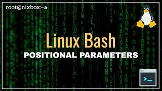 What are Positional Parameters in Bash (Introduction)