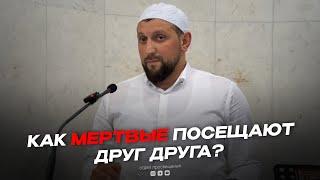 КАК МЕРТВЫЕ ПОСЕЩАЮТ ДРУГ ДРУГА ?