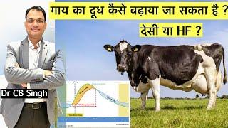 गाय का दूध कैसे बढ़ा सकते हैं ? | Feeding of milking Cow | Dairy Farm | Dr CB Singh | @DairyUstaad