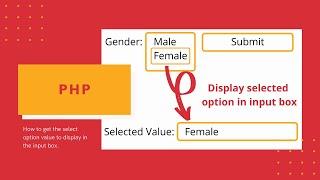 How to display the select option value in input box using PHP