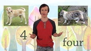 4: The Number Four - Kids Learn to Count Numbers