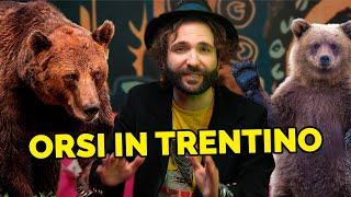 Perché la situazione orsi in Trentino è un casino