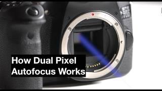 How Dual Pixel Autofocus Works: Why The Canon 70D Changed The Game