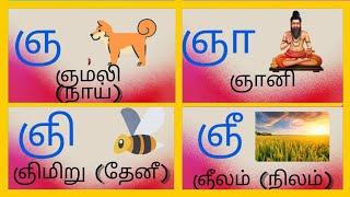 உயிர்மெய் எழுத்துகள் | ஞ வரிசை சொற்கள்| gna varisai sorkal | ஞ, ஞா ,ஞி,ஞீ.... #kidsvideo