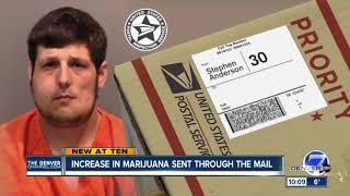 Number of packages mailed in Colorado with marijuana inside spikes