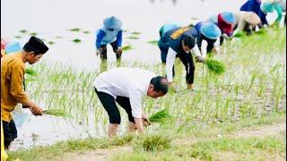 Presiden Jokowi Tanam Padi Bersama Petani, Tuban, 6 April 2023