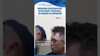 Viral Brimob Gadungan Terciduk Tinggal Di Markas Brimob #Viral #Shorts #Brimob