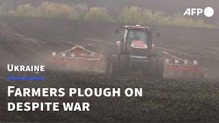 Ukraine's farmers plough on despite ongoing war | AFP