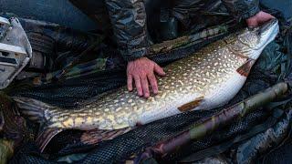 The BIGGEST PIKE We've Ever Seen - Broadland Beast(s)