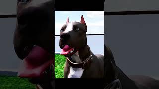 Başlığı Cemil yedi #pitbull #edit #gta5 #pitbulll #memes