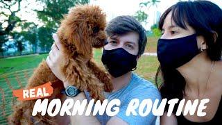 REAL Morning Routine with a New Puppy | Red Toy Poodle Vlog Singapore