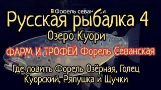 РР4. Озеро Куори. Фарм и Трофей Форель Севанская. Где ловить Форель Озерная, Голец Куорский, Щука.