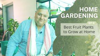 Home Gardening | Ep 6 - Best Fruit Plants to Grow at Home