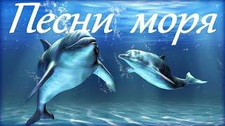 1 Hr - Пение Дельфинов и Звуки Океана / Dolphins and Ocean Sounds