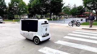 This electric autonomous delivery robot can bring pizza to your door